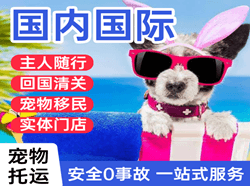 海口美兰航空快递国际宠物托运 【国